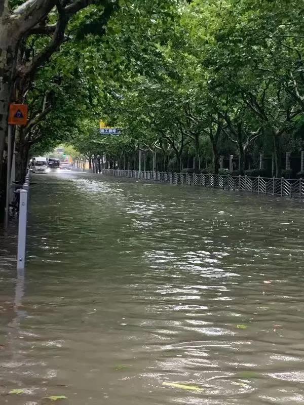 微信图片_20190820131151.jpg