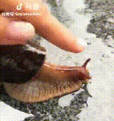 微信图片_20190820133207.gif