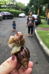 微信图片_20190820133218.gif
