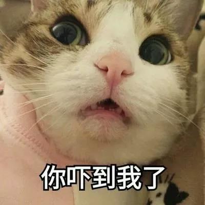 微信图片_20190820141553.jpg